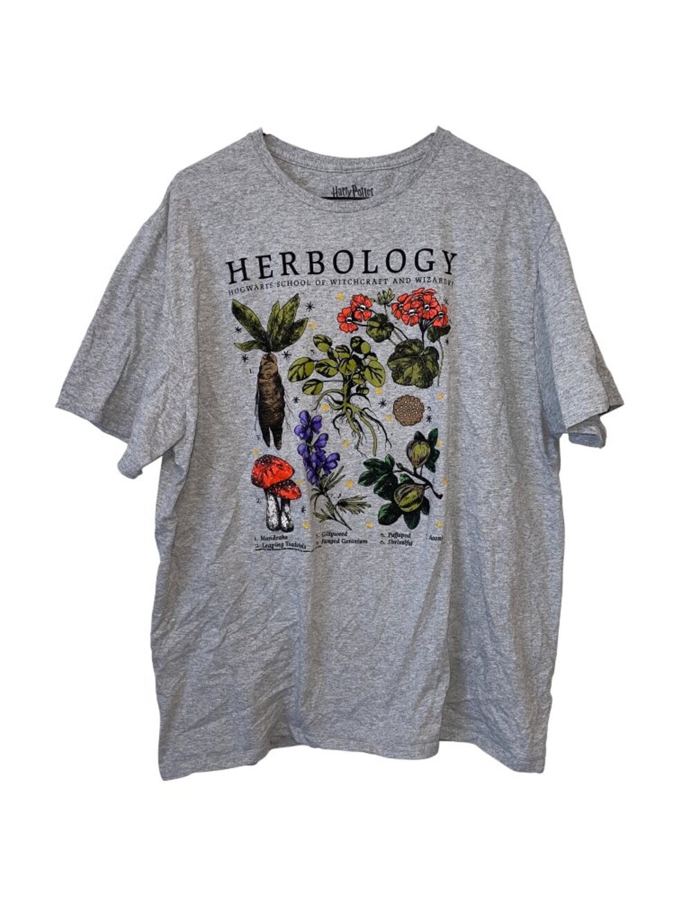 Harry Potter Herbology Graphic T-Shirt 2XL 80% Cotton 20% Polyester Gray Short S
